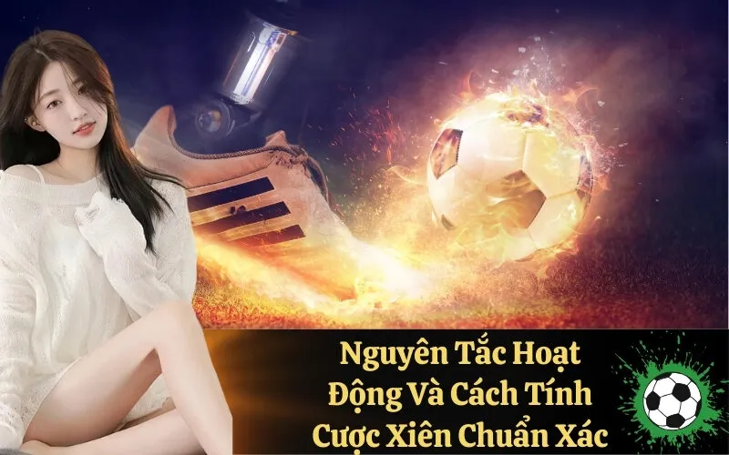 Nguyên Tắc Hoạt Động Và Cách Tính Cược Xiên Chuẩn Xác